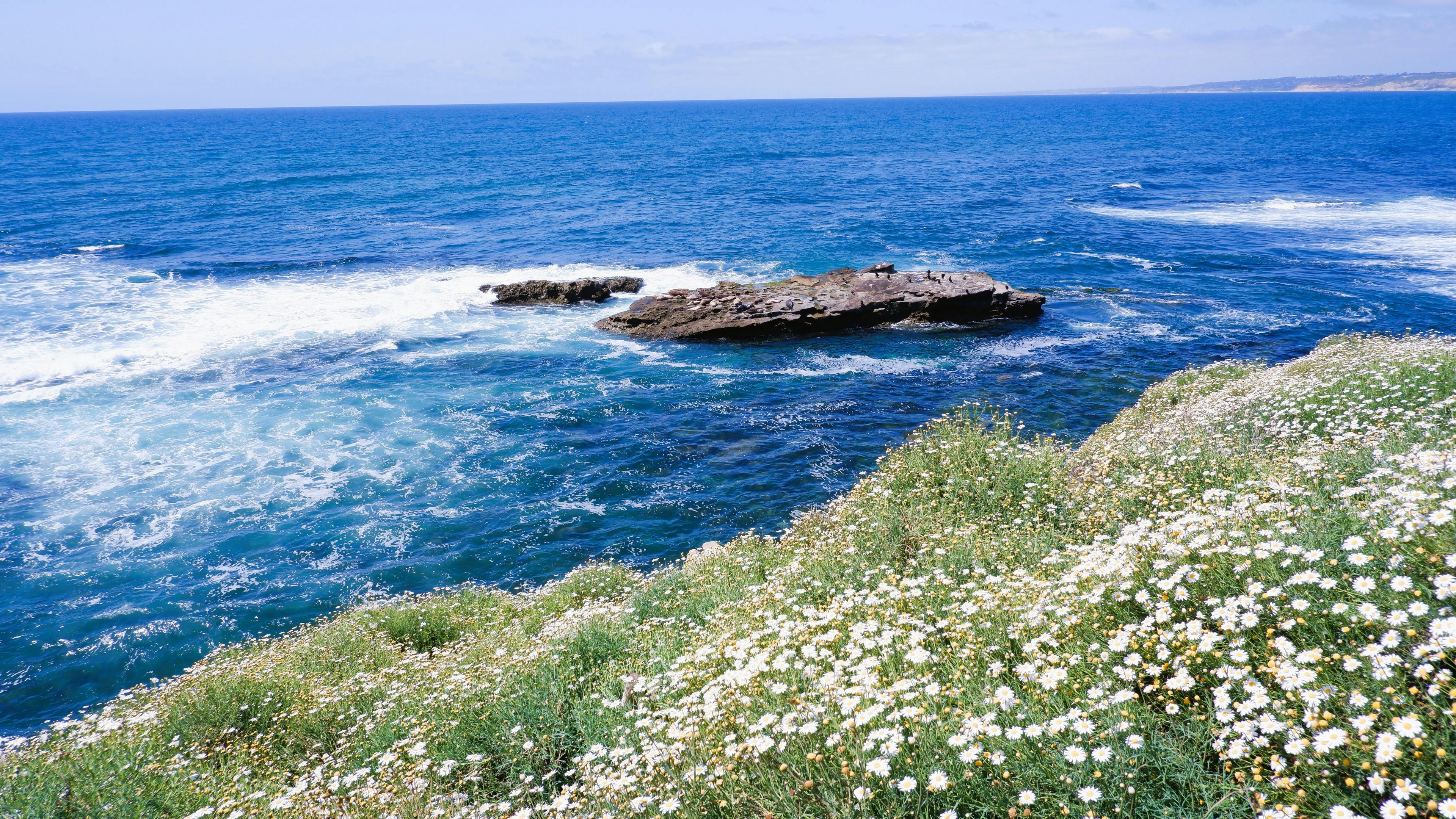 Azura Coast Wax Melt 2.45oz